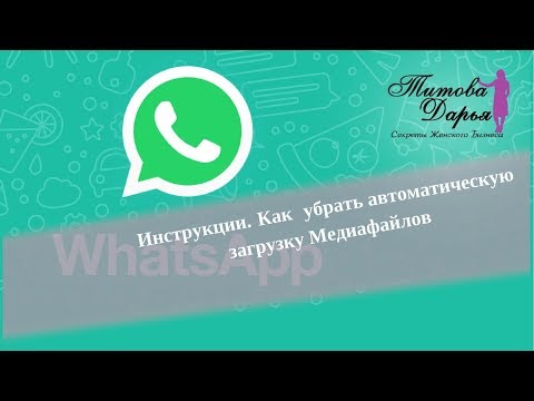 Как в WhatsApp убрать автоматическую загрузку Медиафайлов. Титова Дарья. Полезные инструкции