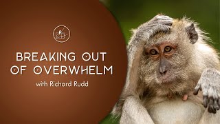 Breaking Out of Overwhelm