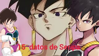 15 curiosidades de Seripa, la Saiyajin de clase baja del escuadron Bardock.