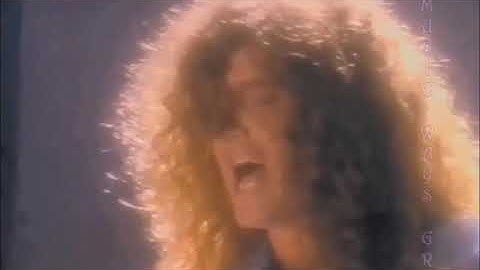 Stranger (U.S.) - 3D