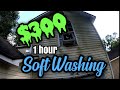 $300 in 1 Hour Soft Washing | Pressure Washing Job
