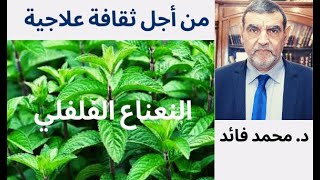 الدكتور محمد فائد || من أجل ثقافة علاجية : النعناع الفلفلي كيف يستعمل ولماذا يصلح