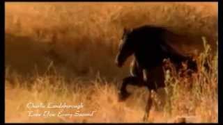 Charlie Landsborough - Love You Every Second (HQ :) + lyrics chords