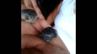VID-20140831-WA000