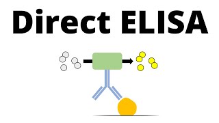 Direct ELISA in 1 minute