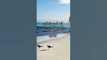 إ ن م ا أ م ر ه إ ذ ا أ ر اد ش ي ئ ا أ ن ي ق ول ل ه ك ن ف ي ك ون Quran Youtubepartnerperks 