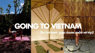 LEAVING FOR VIETNAM | A trip to the vets, yoga classes and cold plunges