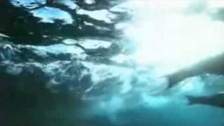 Angra - Hollow  - Video  - Aqua 2010