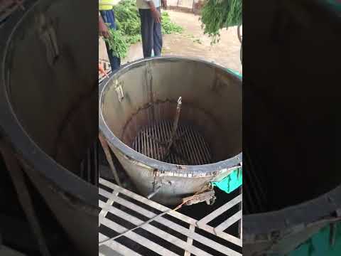 वीडियो: क्या एक जेरेनियम जड़ को पानी में काटेगा?