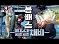 봄 배스 다 네꼬야!! 봄시즌 유독...이채비에 배스들의 반응이 심상치않습니다