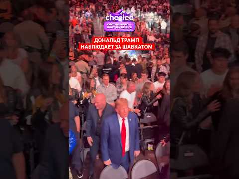 Видео: Дональд Трамп и многие звезды наблюдают за ШАВКАТОМ #ufc #shavkatrakhmonov #ufc296 #mma