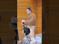 大相撲巡業　土俵の上も気になるけど　後ろに　#巡業　#大相撲　#sumo