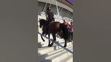 ¿Por qué la policía monta a caballo?