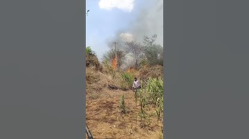 fired on crops #hescom #funny #bescom #kptcl #farming #fire #vlog #electrical #raita