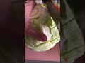 Stewed Cabbage Stewed Cabbage