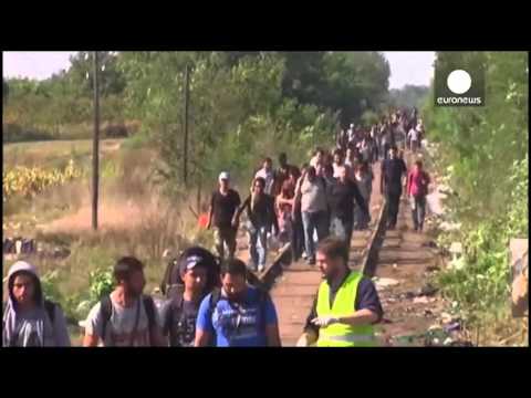 უნგრეთის პოლიციამ სერბეთის საზღვართან 9 380 მიგრანტი დააკავა