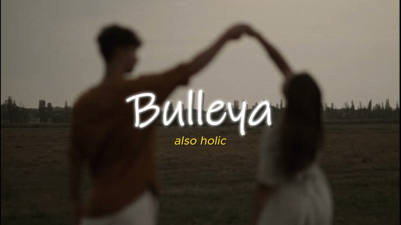 Bulleya (Slowed + Reverb) - Papon | Salman, Anushka | Sultan | Also Holic