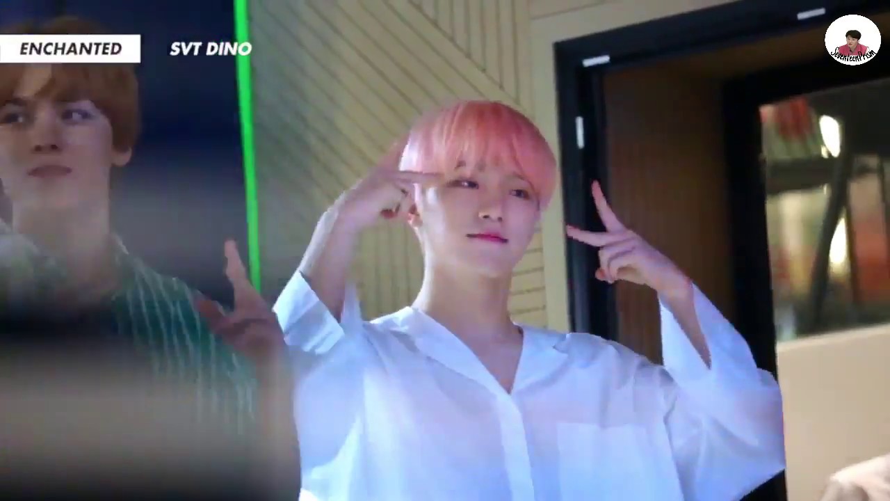 [ENG] 180729 SEVENTEEN DOING HARAKEKE AT THE SAEM FANSIGN