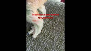 Тиранозавр рэкс против трицератопса #jurassicworld