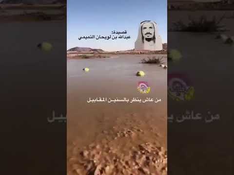 الشاعر عبدالله بن لويحان الحنظلة لو هي على شاطي النيل زادت مرارتها القديمة مرارة