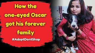 How the one-eyed Oscar got his forever family!