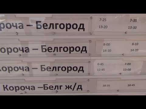 расписание автобусов Короча Белгород расписание автобусов с автовокзала