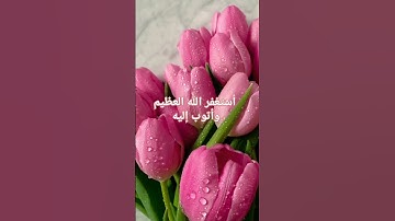 تلاوة جميلة لسورة مريم بصوت القارئ سعود الشريم #قران_كريم #سورة_مريم #سعود_الشريم #كنوز_القرآن