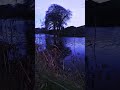 #Scotland #water #calm #relaxation #dusk #canal #winter #walking