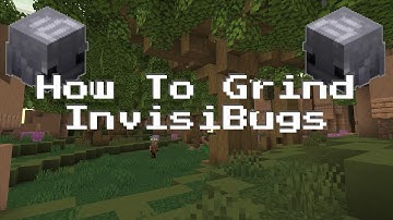 How To Grind InvisiBugs (Hypixel Skyblock Tutorials)