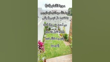 سورة الأنعام الآية ١٥٢ ¹