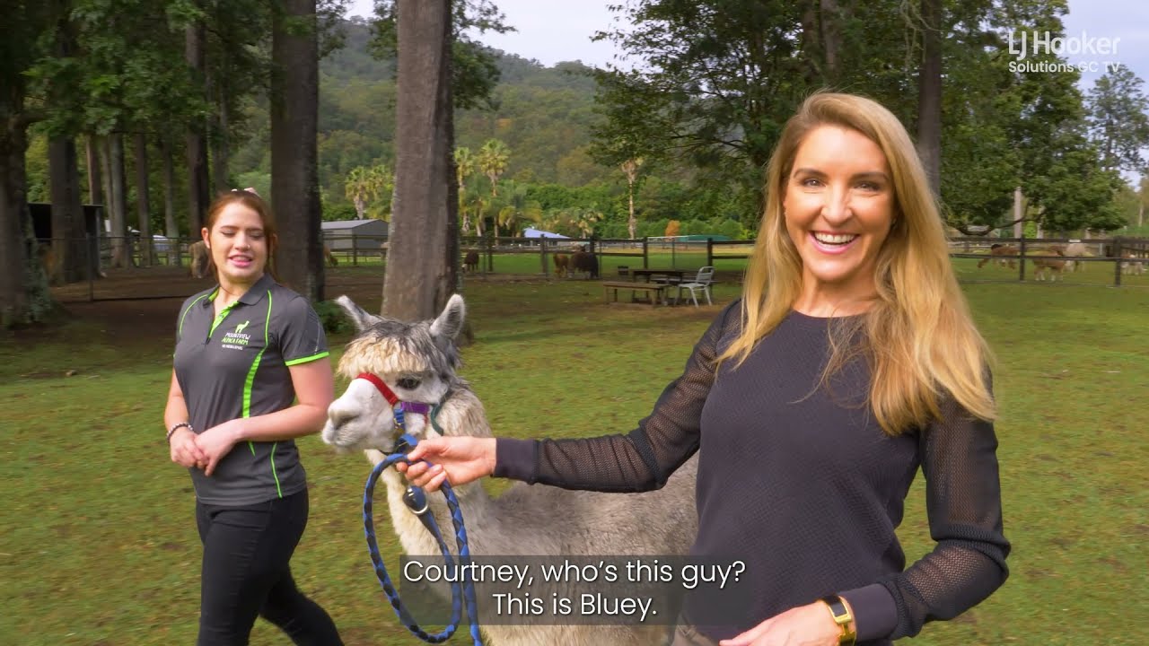 My Neighbourhood // Canungra 🌲