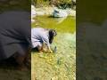 Testo K Mageko Thiye Ra Vatkina Hatter Vyeko Song Music Bollywood Love Lovesong 