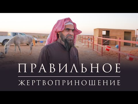 Видео: Что такое костыли овец?