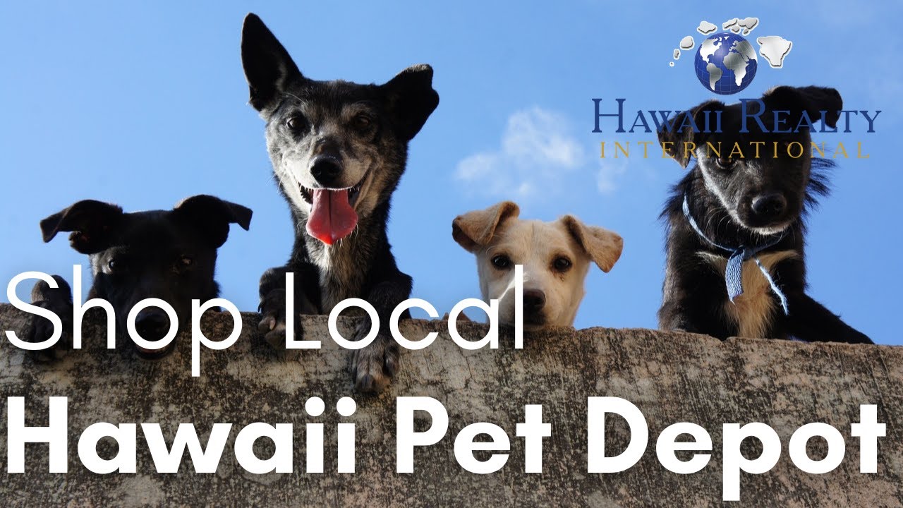 Hawaii Pet Depot, Ewa Beach Shop Local Hawaii Realty International
