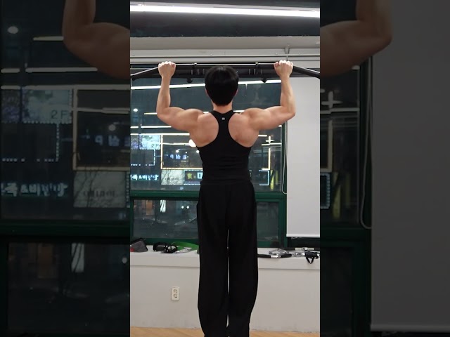 턱걸이 정자세 10개(일정한 속도, 일정한 장력)