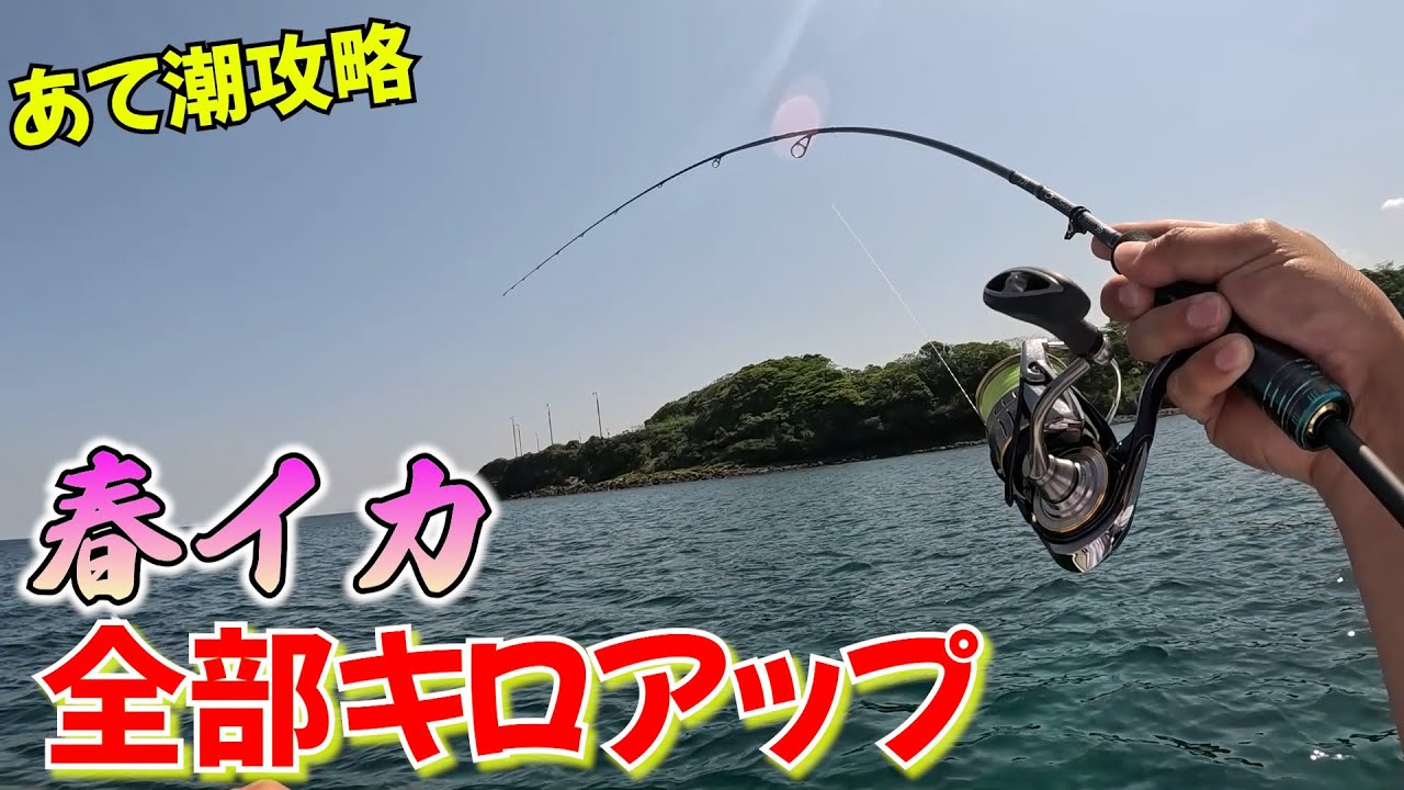 全部キロアップ⁉春イカエギング！あて潮を攻略して究極のエギングロッドをブチ曲げ連発 #エギング #春イカ #キロアップ - YouTube