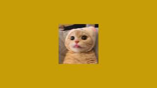 Cupid's Chokehold (Take a look at my girlfriend) sped up