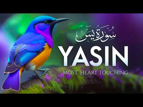 Surah Yaseen सुनें के फायदे हर वाला से महफूज़ रहोगे -Dua for HD TV Quran ! @HDTVQuran_SR 