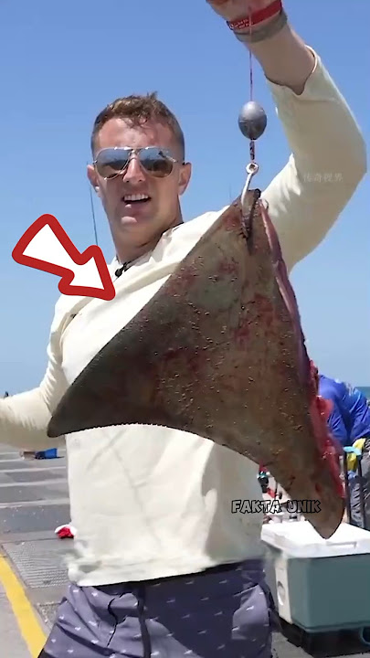 Fishing for the fish that guard under the bridge 😱 #shorts #viralvideo #fishing #fishing #fish #g...