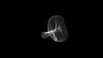 #shorts Touch Designer + Modular Synth Ambient