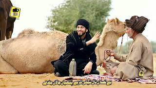 Dunia Dhadi An A Maraay Darday Ufff Nah Karday ..