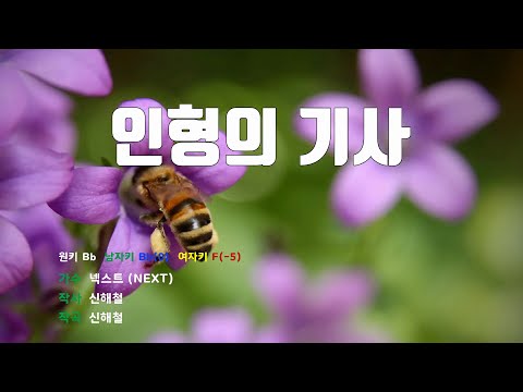 [은성 반주기] 인형의기사 - 넥스트