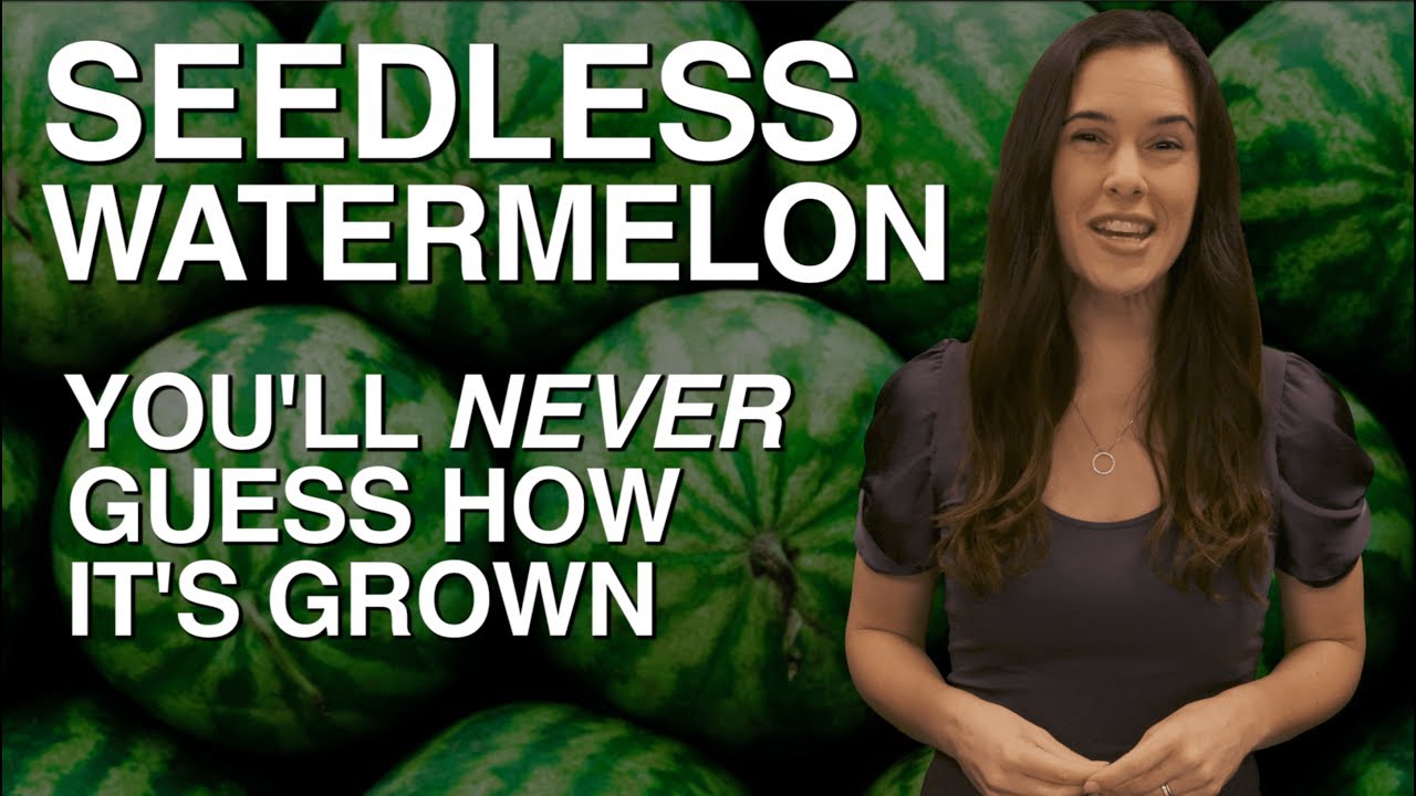 How Much Does A Seedless Watermelon Weigh