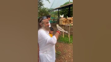 Thumbnail of Gurudev Sri Sri Ravi Shankar with Birds! ❤️ | Bangalore Ashram #shorts