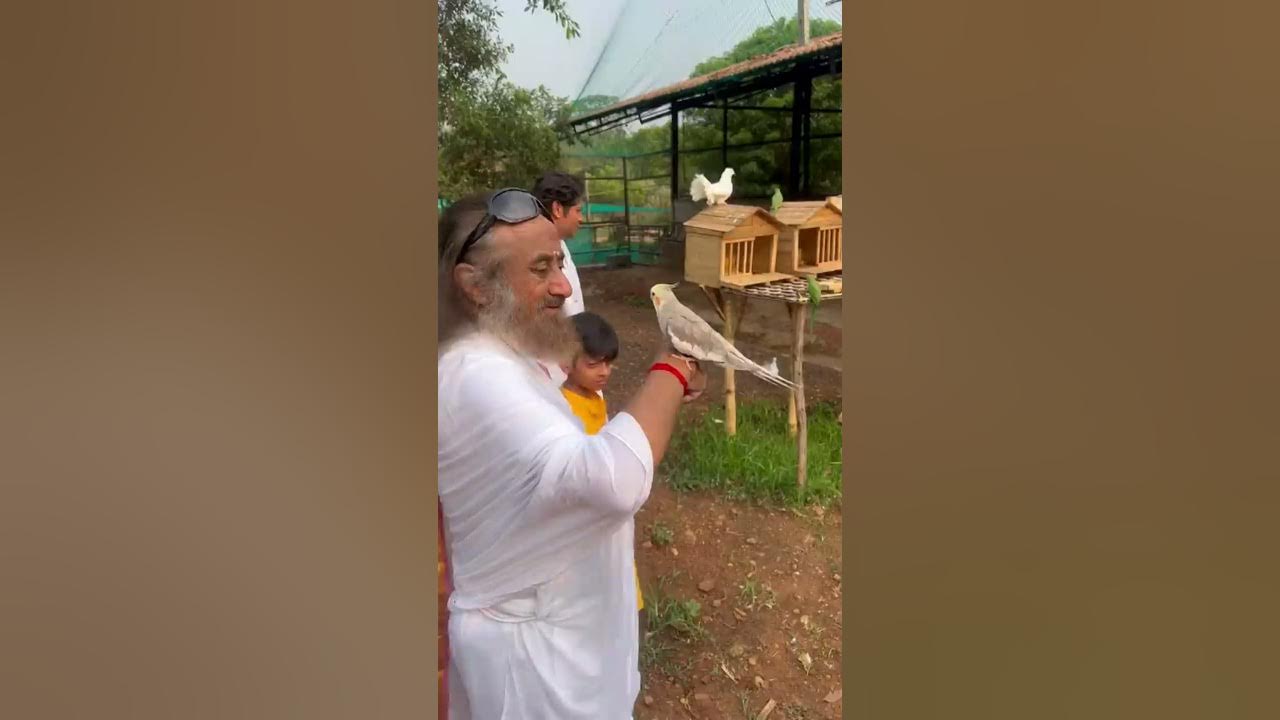 Gurudev Sri Sri Ravi Shankar with Birds! ❤️ | Bangalore Ashram #shorts