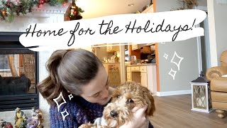 Moving home for the holidays + finishing school + organizing! screenshot 3