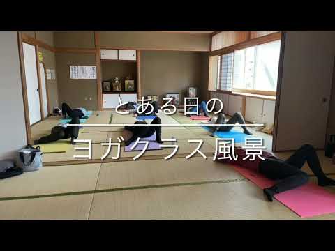 とある日のヨガクラス風景（音無し）