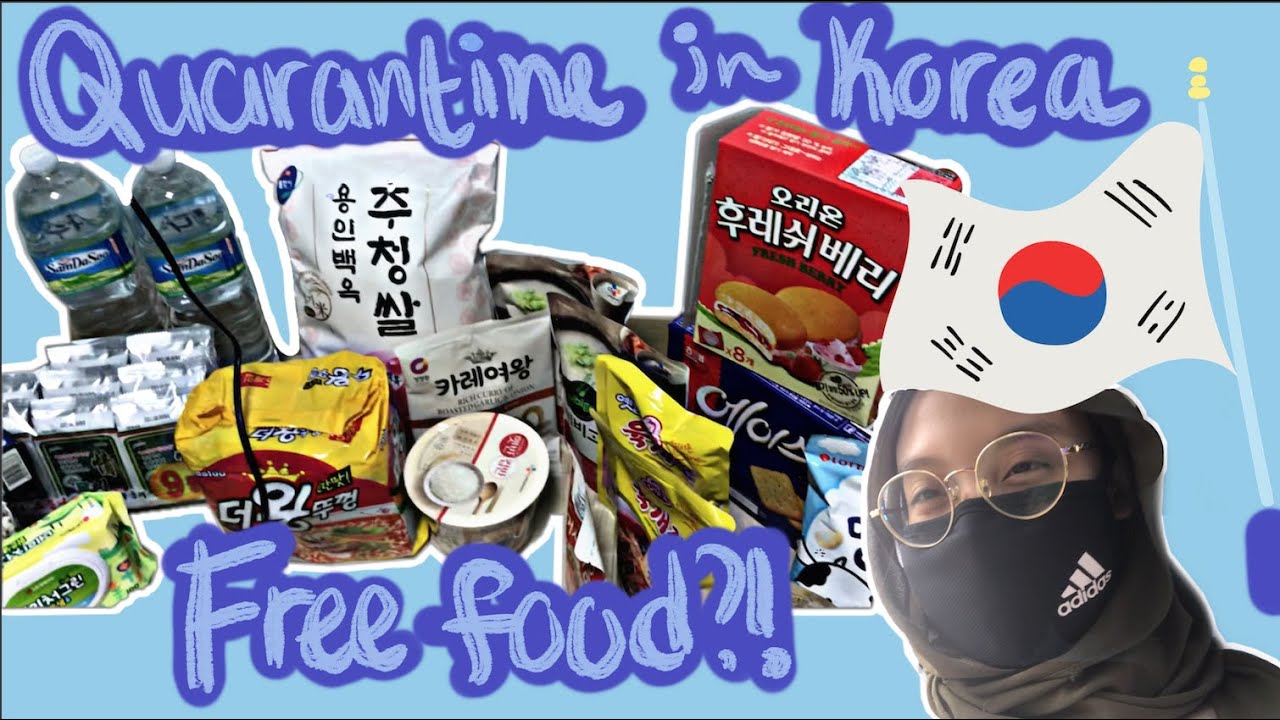 QUARANTINE IN KOREA + FREE FOOD SUPPLY?! YouTube