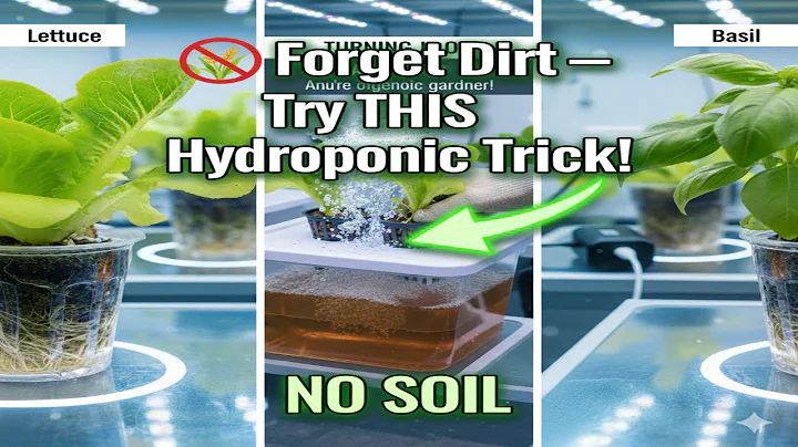 Hydroponics for Beginners — Grow Plants Without Soil! (Step-by-Step Tutorial)#HydroponicsForBeginner