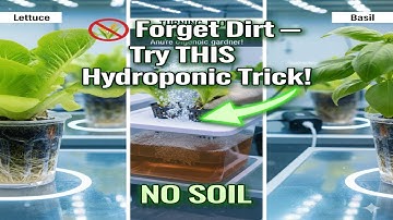 Hydroponics for Beginners — Grow Plants Without Soil! (Step-by-Step Tutorial)#HydroponicsForBeginner